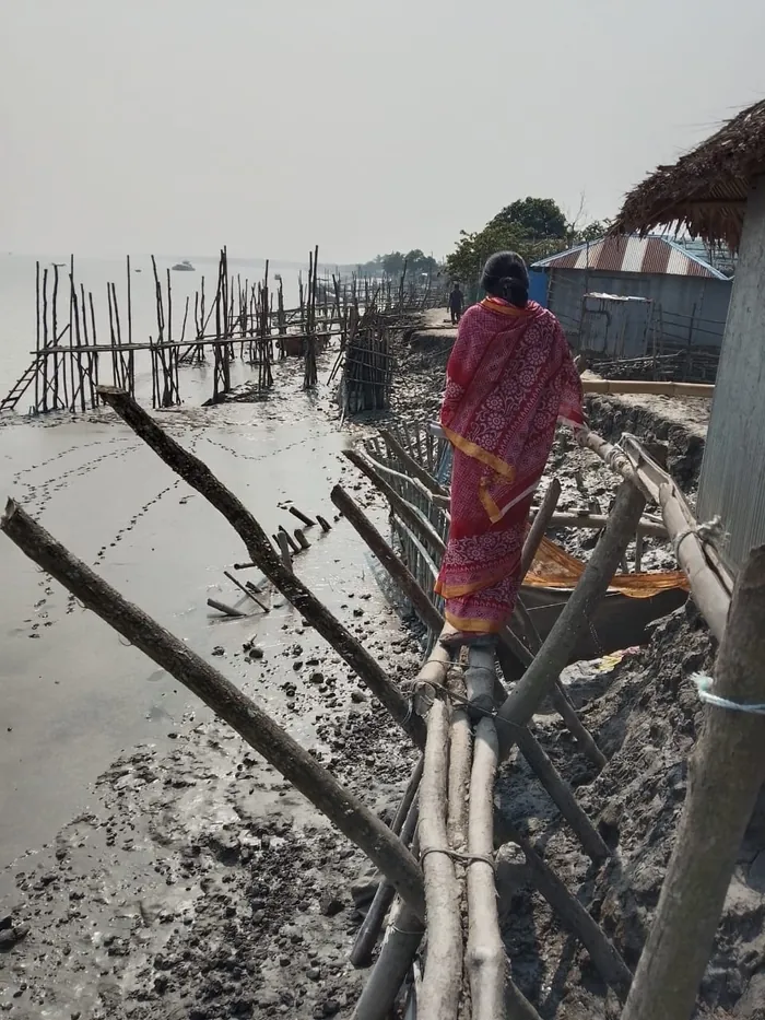 A woman in a red sari walking across bamboo poles over mudflats